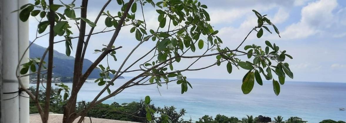 Northwest Bay Seaview Apartment بو فالون المظهر الخارجي الصورة